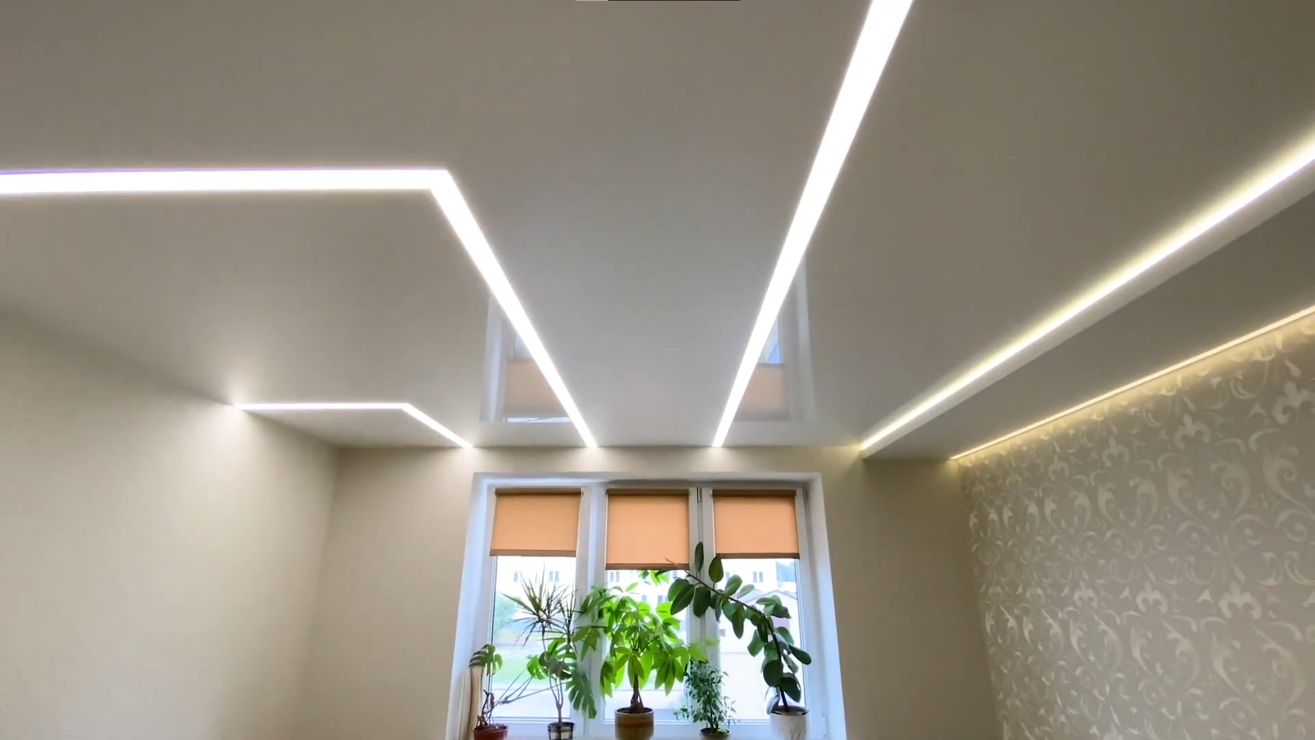 Световые линии